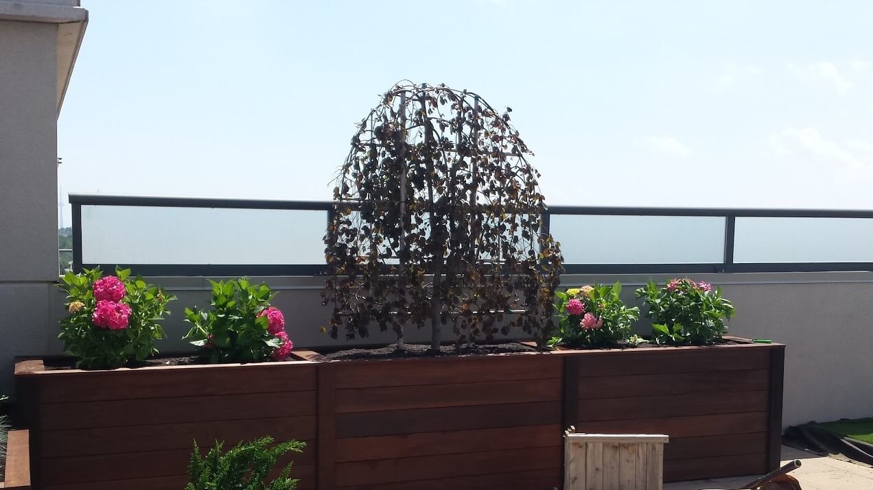 ROOF TOP PLANTER BOXES – 2