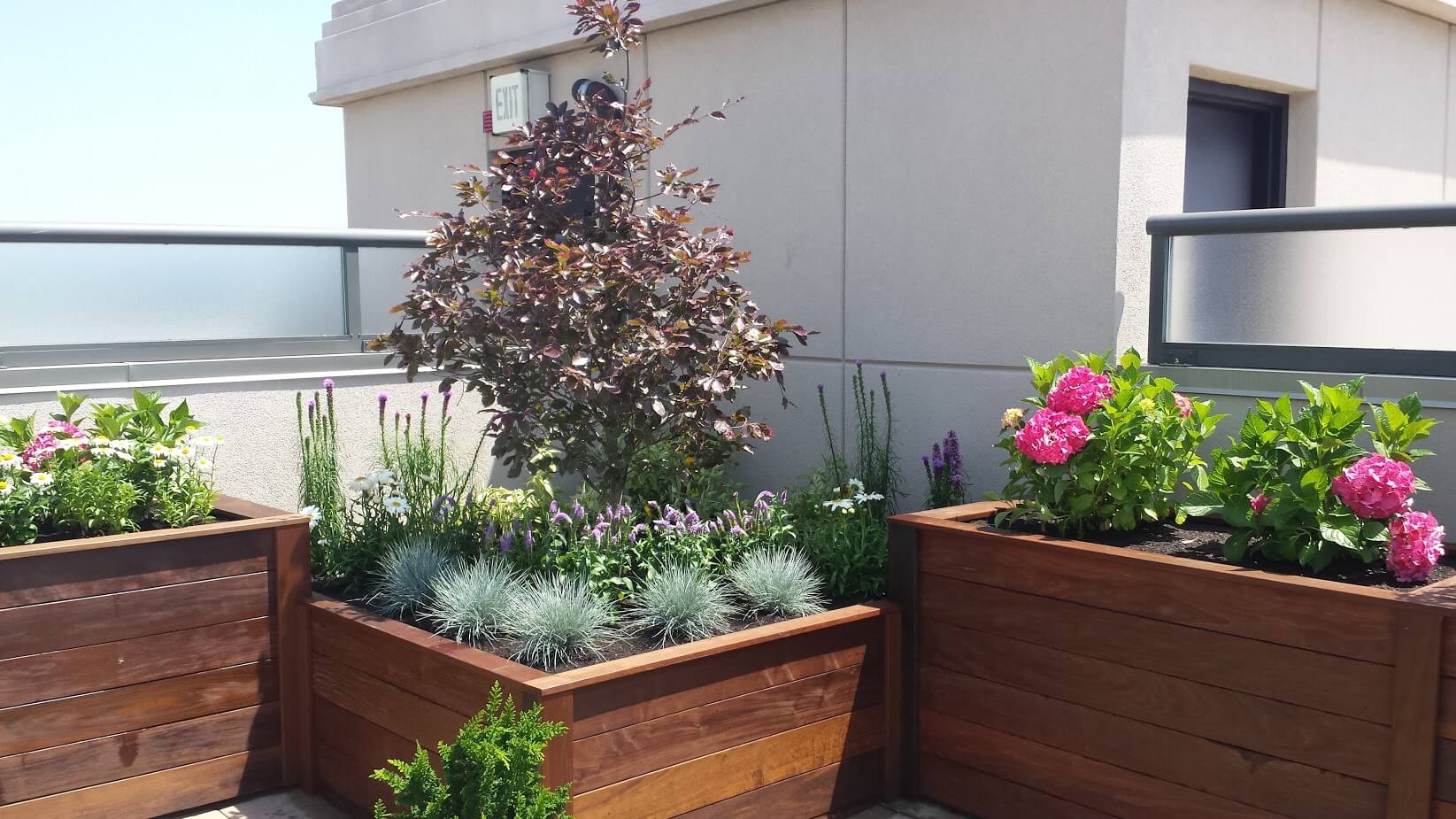 ROOF TOP PLANTER BOXES